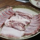 탐라우돈 이미지