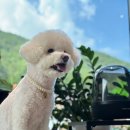 산타페캠프닉(매미성 본점) 이미지