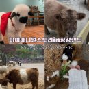 어린왕자블랙 | 가볼만한 곳 I 포천 마이애니멀스토리 in 평강랜드 방문후기(+테디베어소, 블랙노즈양, 어린왕자 전시관)
