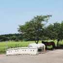 웅지승마센터 이미지