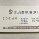 울산에스동물메디컬센터 네이버블로그