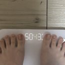 (주)아프로마트 | 망한 다이어트