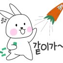 스타솔루션 이미지