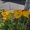 건전노래연습장1 이미지