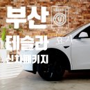 언더독 | 부산 테슬라 신차패키지 - 언더독 신차패키지 시공 후기 살펴보시겠어요?