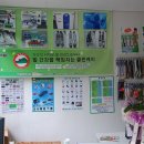 운동화구두이불빨래방 이미지