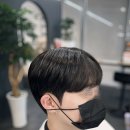 바오헤어(Bao hair) 이미지