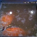 매콤달콤떡볶이 이미지