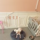 러블리멍 이미지