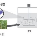 바이오에너지개발 이미지