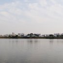 서호공원 이미지