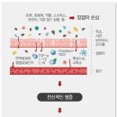 구구동물병원 이미지