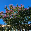 신흥한증막 이미지