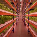 기화농장 이미지