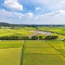 황금들녁 이미지