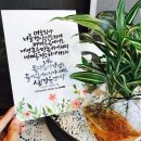 물댄동산 이미지