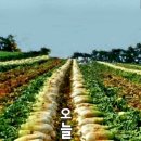 장림산방 네이버블로그