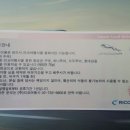 리코여행사