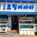 오징어바다 네이버블로그