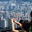 남산약국 이미지