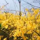 모월모일 이미지