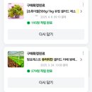 고흥야채상회 | 내돈내산 재구매 알랑몰랑상회 유러피안 샐러드 후기