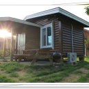 대숲여행 이미지