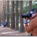 보보스캇 캠핑장 이미지