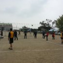 송해초교 이미지