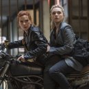 Black Widow 이미지