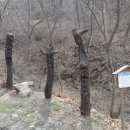 장승마을 이미지