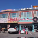 퍼피타운커피 | 파주 애견카페 : 루프탑 애견운동장&amp;포토존! 퍼피타운커피 방문 후기