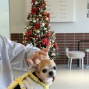 구지동로 이미지