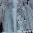 송어축제 이미지