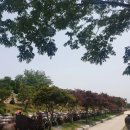 정원유기농영농조합법인 이미지