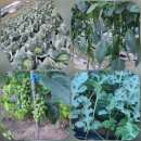 나들농장 이미지