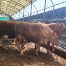 한우사랑농장 이미지