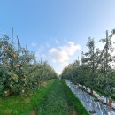 대호만로 이미지