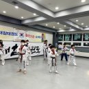 경희대 진 태권도 이미지