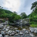 일상 스트레스를 잊고 심신을 치유하는 아름다운 숲, 삼척 활기 치유의 숲 이미지