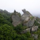 1885 서울경제