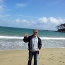 진하리조트 이미지