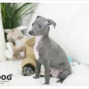 인덕원역 7번출구 인덕원성당옆 이미지