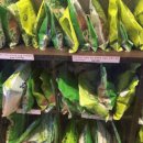 이광덕한의원 이미지