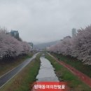 천하일품추어탕 이미지