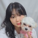 고려뽑기샵 | 대구 오무선미용실 '휘 디자이너' 얼굴형 맞춤펌 후기
