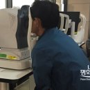 평화의안 이미지