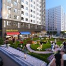 스테이펫 이미지