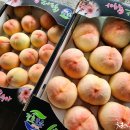 보은농장 이미지