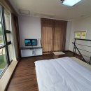 카누720애견풀빌라 이미지